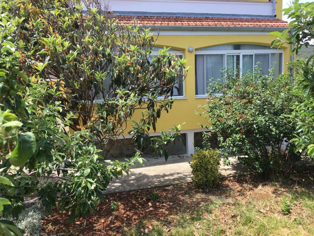 Apartments With A Parking Space Bozava, Dugi Otok - 8108 Extérieur photo