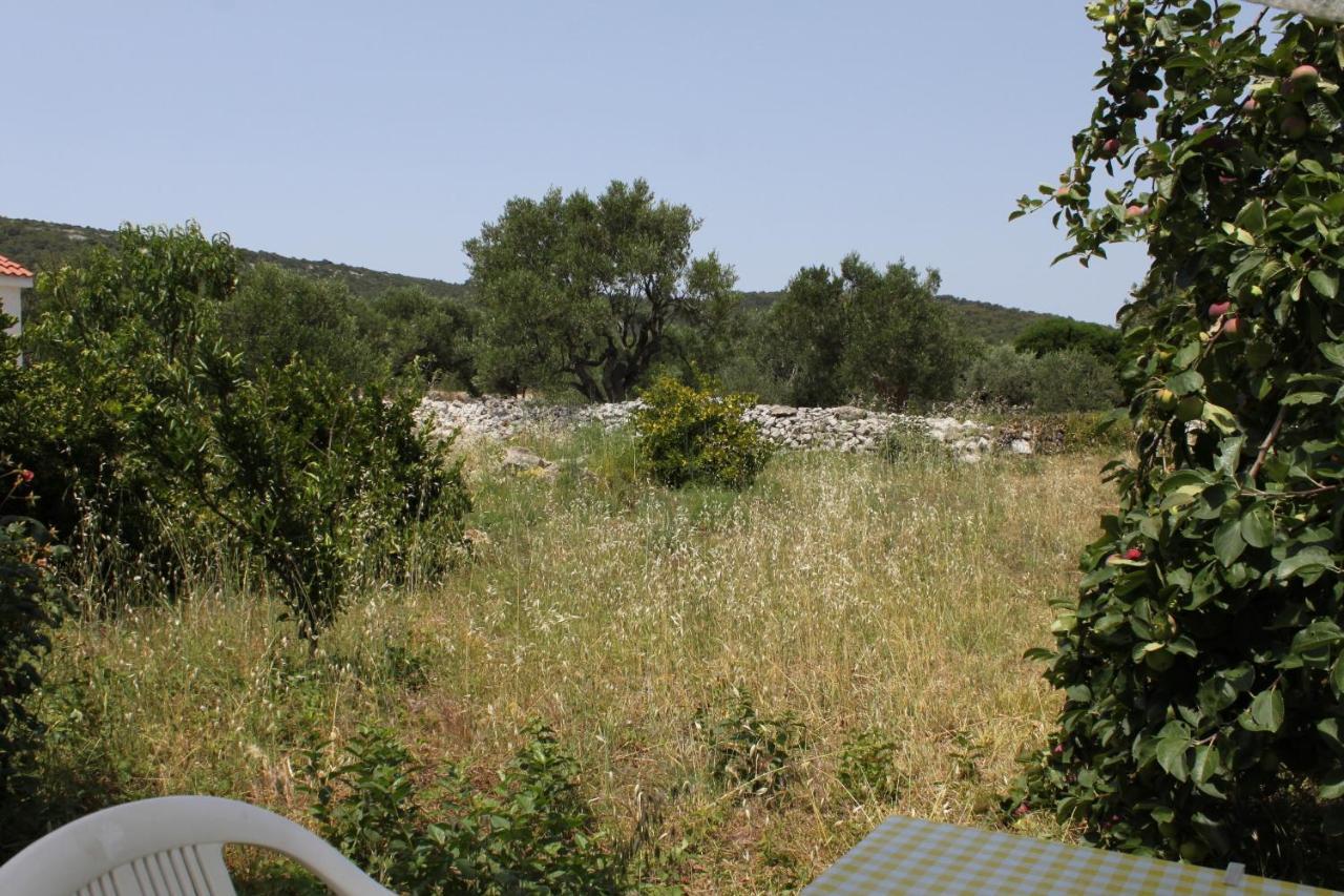 Apartments With A Parking Space Bozava, Dugi Otok - 8108 Extérieur photo